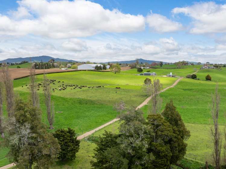 222 Gunn Road Matamata_26