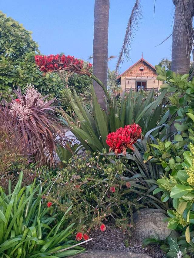 Wainui Beachfront apartment