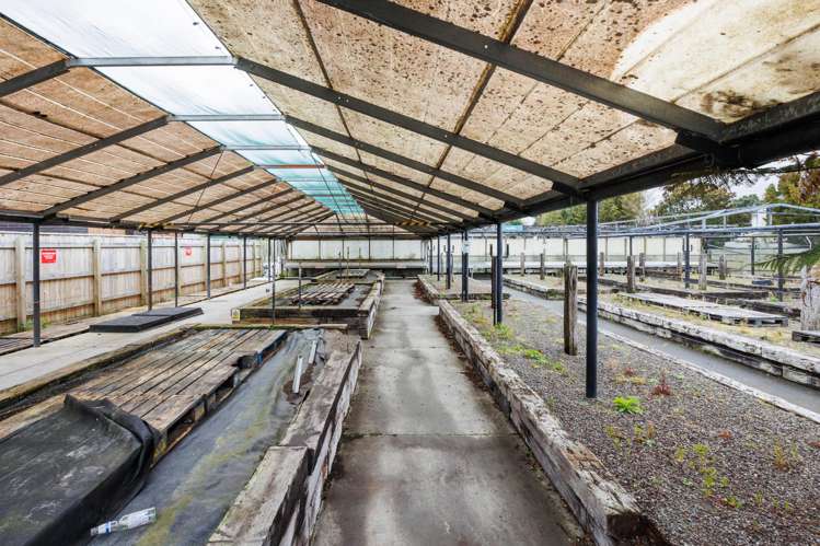 136 Cook Street West End_16