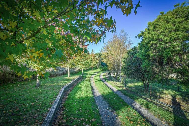 1567 Puketitiri Road Puketapu_25