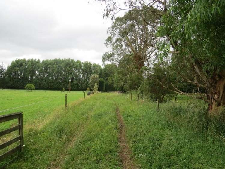 111 Tarr Road Ohaupo_31