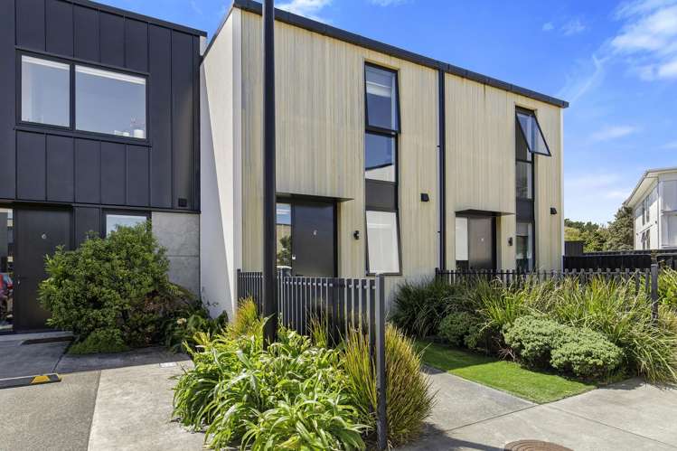 47 Te Ara O Paetutu Petone_14