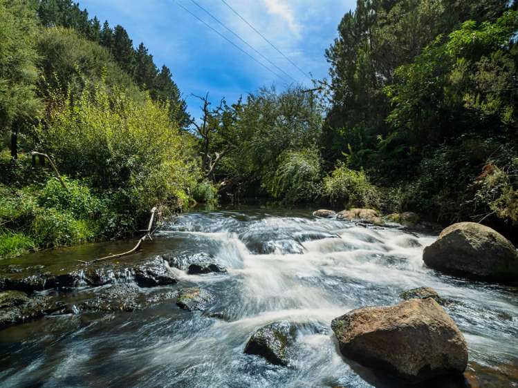 449 Crawford Road Te Puna_13