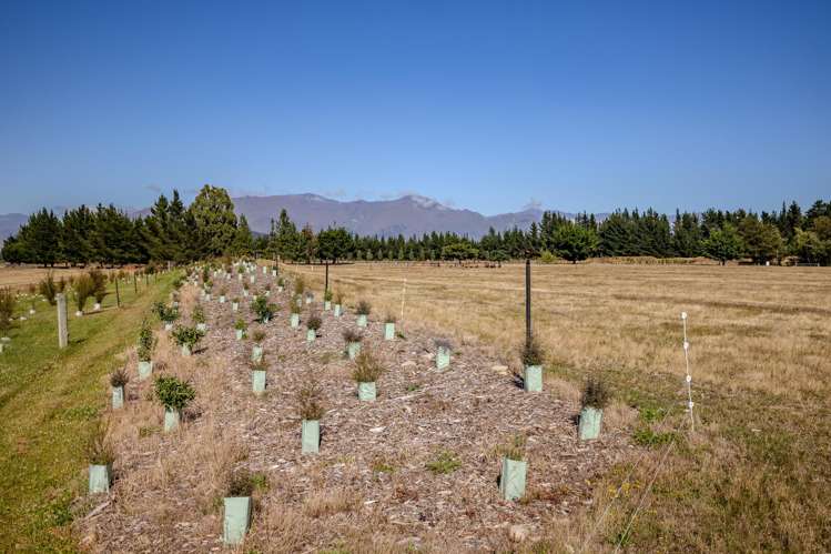 71 Seven Lane Wanaka_9