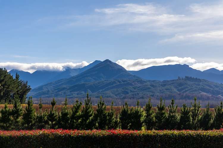 2376 State Highway 63 Wairau Valley_4