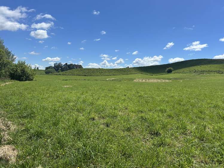 54 Puahue Road Te Awamutu_16