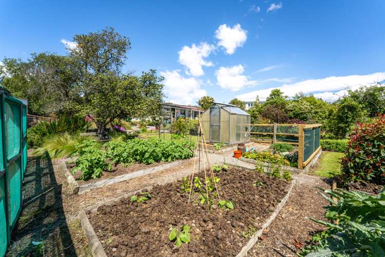 64/62 Norwich Street Hampden_10