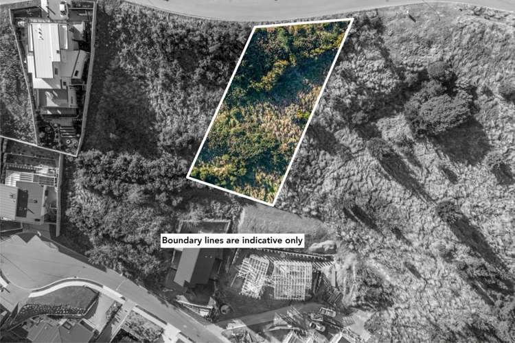 24 Wilson Way Waikanae_13