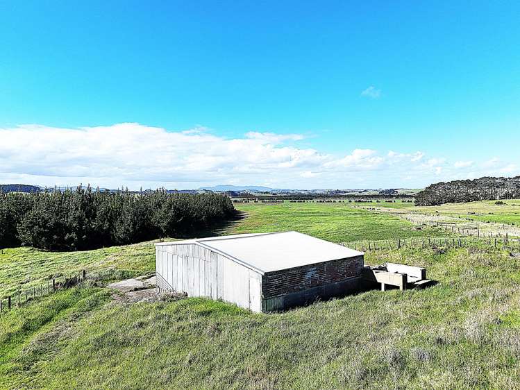 413A Baylys Coast Road Dargaville_8