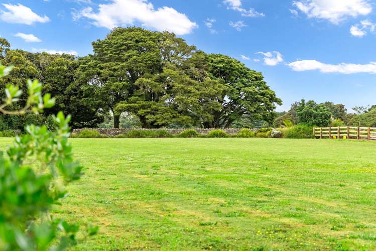 2 Pennyroyal Place Te Kamo_10