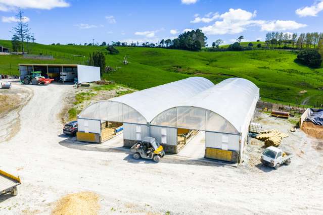 29 Keer Road Dargaville_1