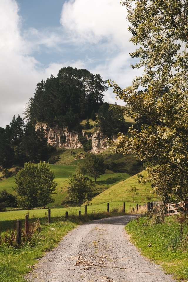 617 Dunkirk Road Atiamuri_1