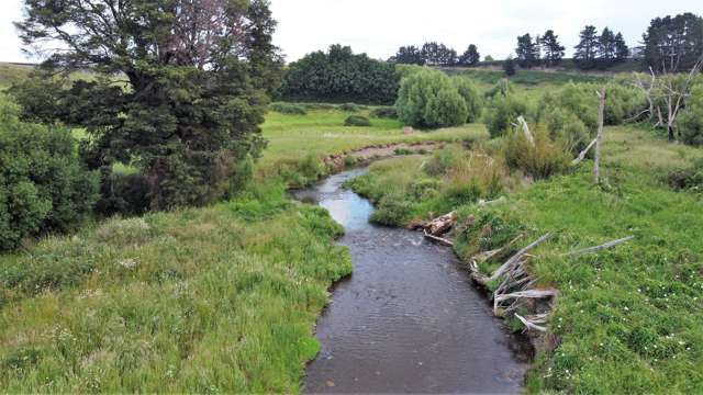 1048 (2) Takapau Ormondville Road Ormondville_4