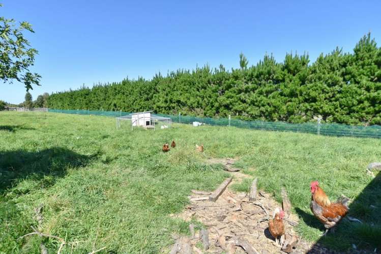 133 Riverside Road Okuku_23