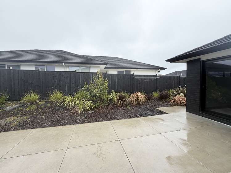 18 Spars Road Milldale_20