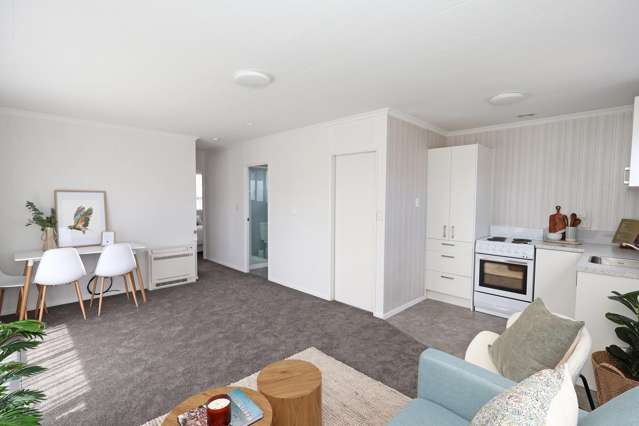 259 Nelson Street Strathern_1