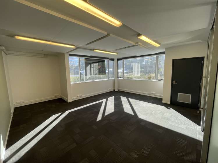 272 Richmond Road Grey Lynn_8