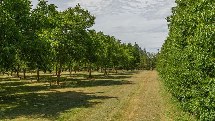 973 Hoskyns Road West Melton_24