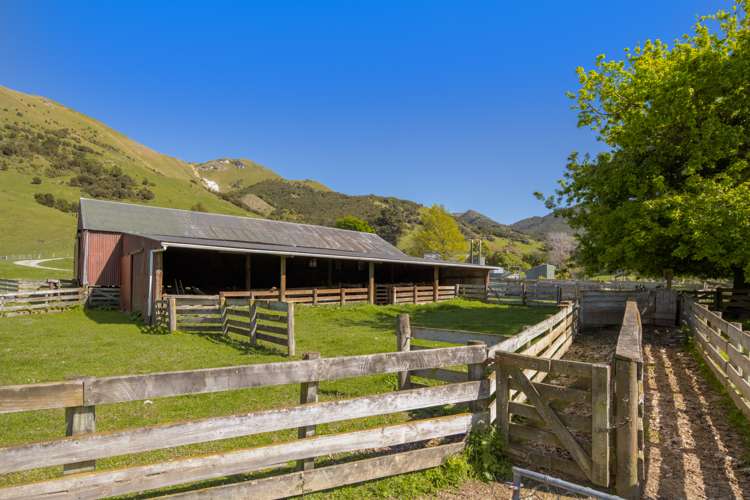 1505 Peggioh Road Ward_16