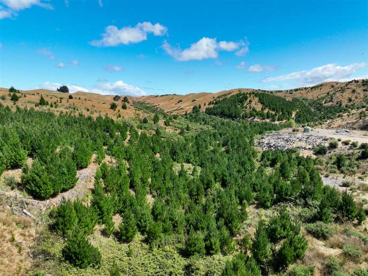 223 Rose Road Upper Moutere_9