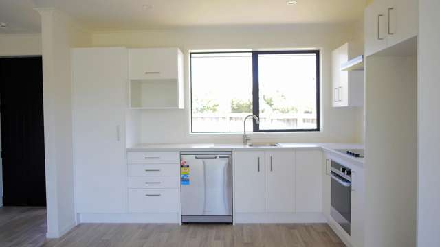 100 Stortford Street Ashhurst_2