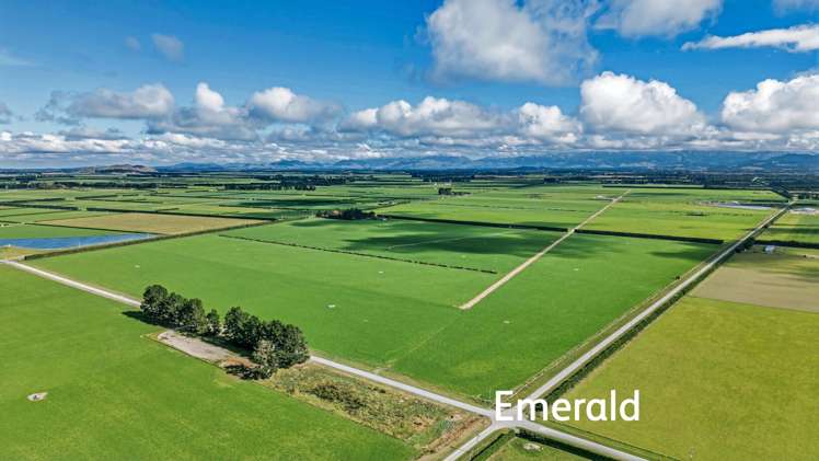 Aurora Dairies Te Pirita_3