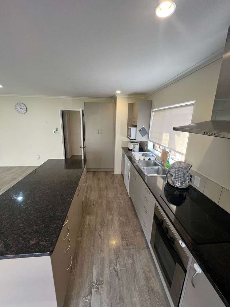 14 Maypark Crescent Flat Bush_2