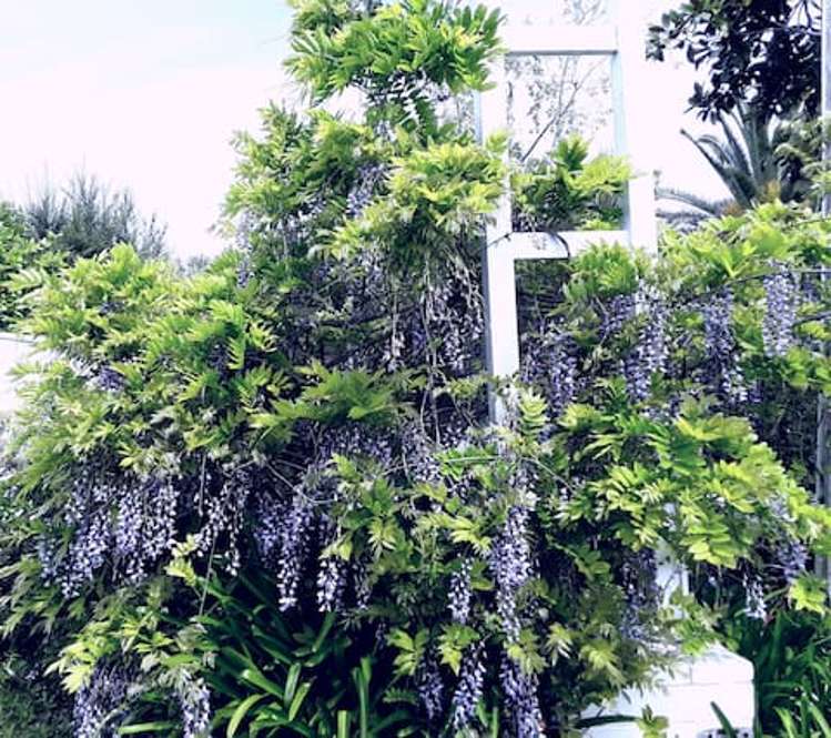 24 Salem Place Torbay_20