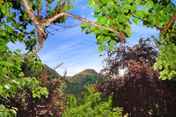 18 Caernarvon Street Arrowtown_14