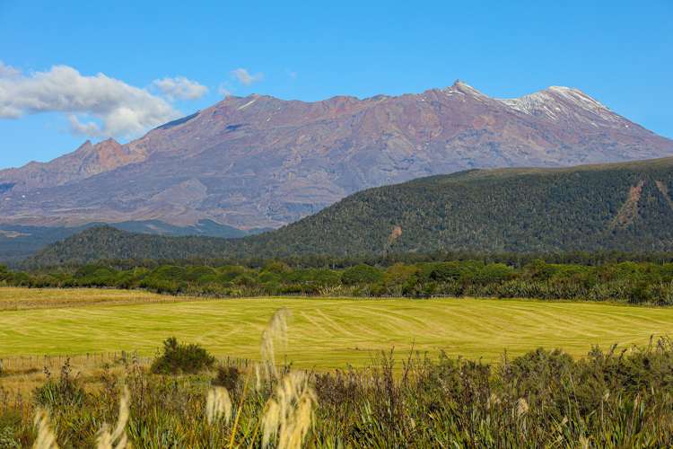 56 Findlay Street National Park_20