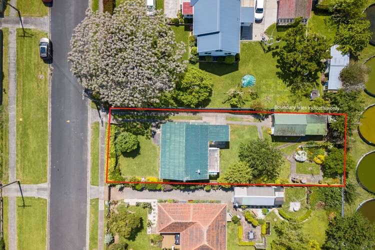 7 Hamilton Street Te Aroha_16