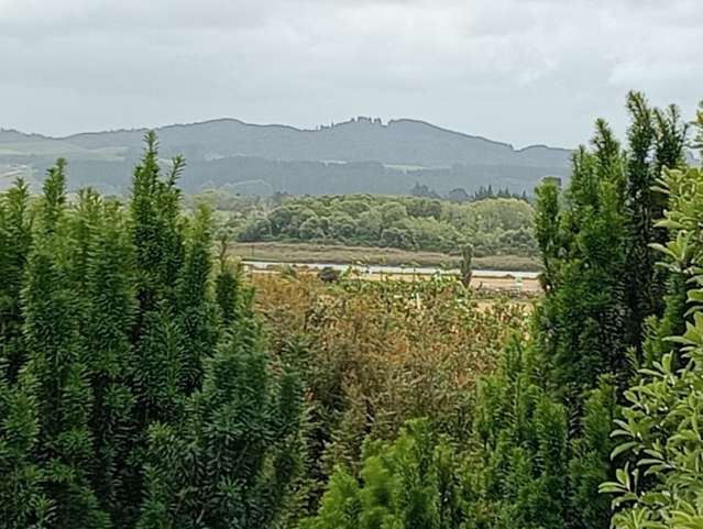 1A Main Road Tuatapere_1