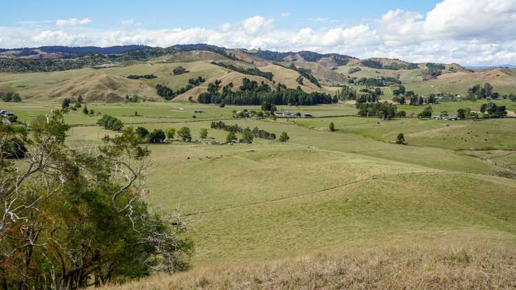 2586 State Highway 2 Maramarua_15