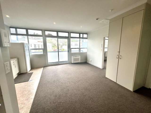 1H/3 Shakespeare Road Napier South_2