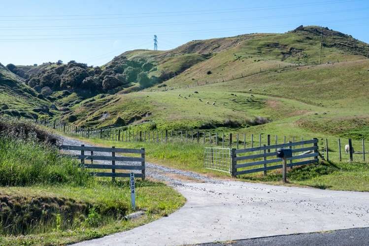 Hedgeley Road Puketapu_13