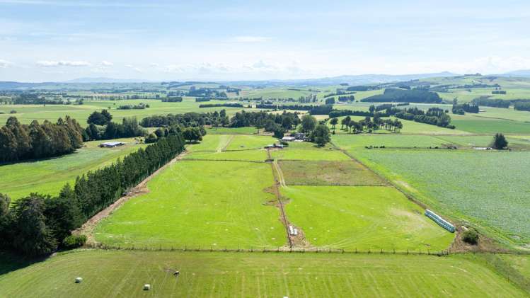 294 Sheddan Road Tapanui_31