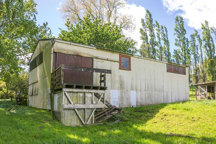 Lot 2-1768 Morrinsville Walton Road Matamata_24