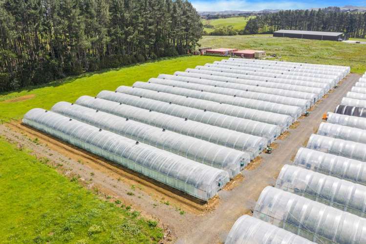 7 Ridge Road Tuakau_7