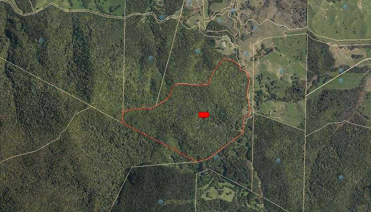 294 Munn Road Kaitaia_19