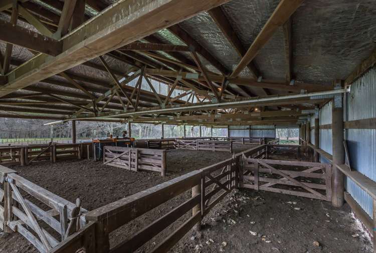 387 Eggleston Road Cheviot_18