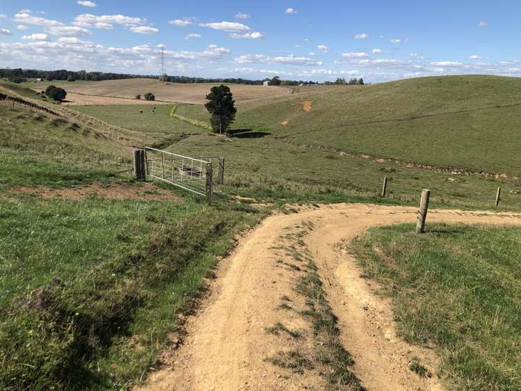 35 Grove Access Road Karamu_43