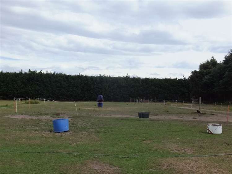 627 Yaldhurst Road Yaldhurst_23