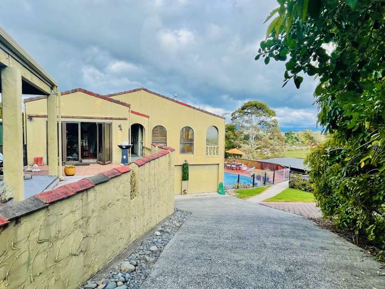 87 Princess Road Bellevue_5