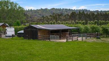 116 Sunnyside Road_4