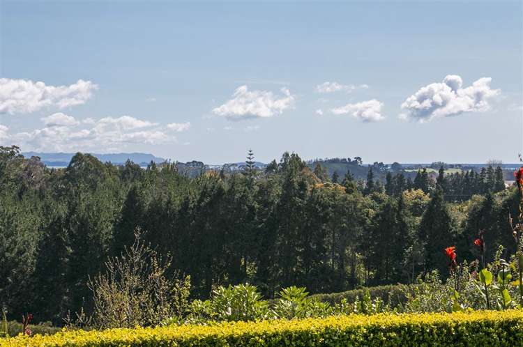 199e Youngson Road Whakamarama_10