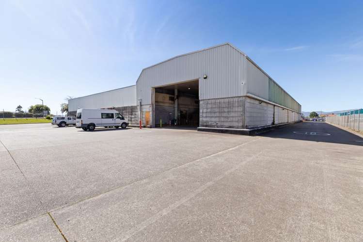 9 Matthews Avenue Takaro_6