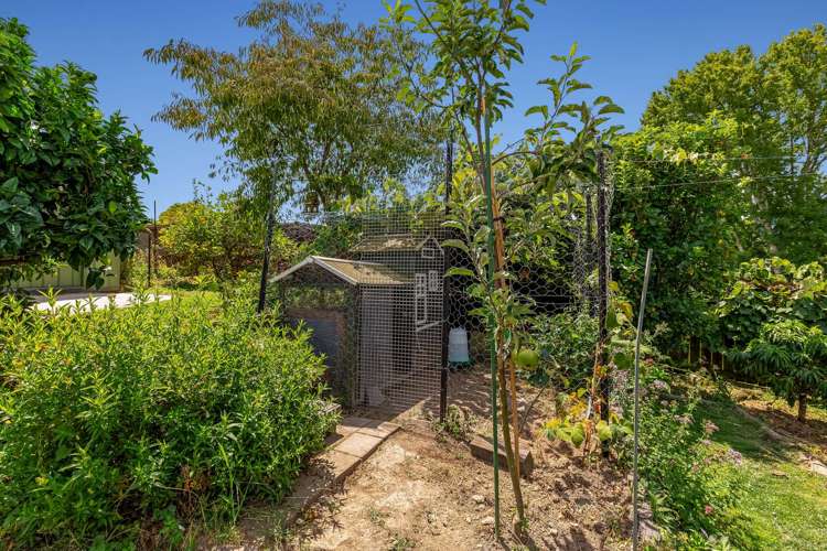 126 Douglas Street Whakatane_19