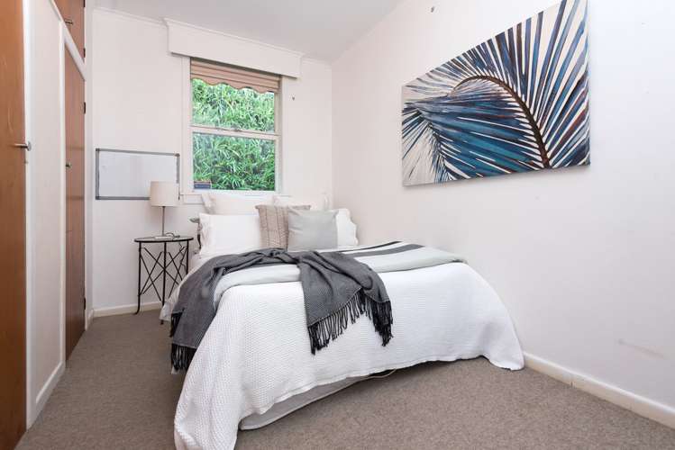 19 Kohimarama Road Kohimarama_15