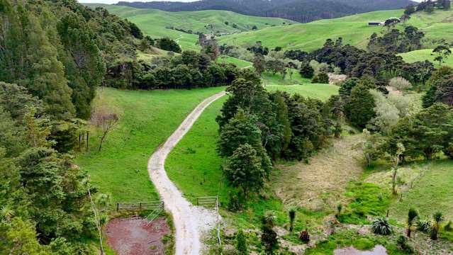 1158 Burma Road Tapora_4