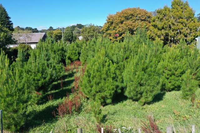 39 Newman Road Eketahuna_3